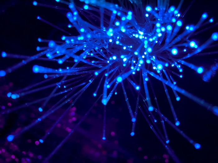 Network infrastructure connectivity
